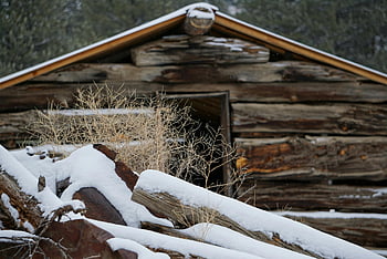Cabina di tronchi rustica, cabina coperta di neve, impostazione invernale, inverno sereno, baita nella neve, Cabina innevata, cabina invernale, cabina rustica, tronco coperto di neve, paesaggio invernale, baita innevata