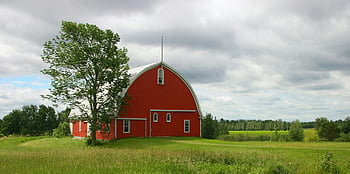 red barn, green trees, rural landscape, cloudy skies, lush green farm, picturesque scene, farm building, outdoor scenery, countryside view, agricultural setting, natural beauty