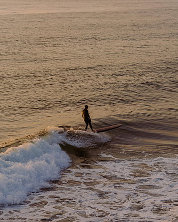surfing, ocean wave, sunset, Newport Beach, California, surfer, beach, waves, water, outdoor, recreation