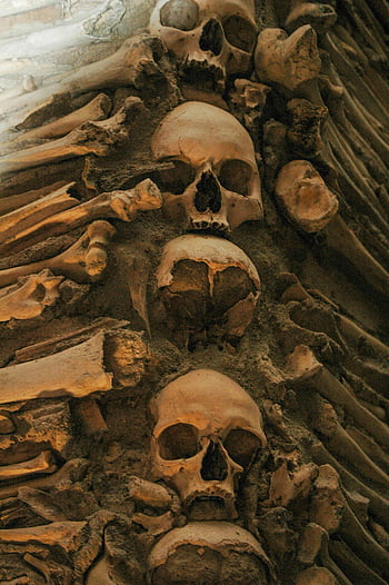 Lebky a kosti, lidské lebky, kosti, Évora's Chapel of Bones, Portugalsko, detail, lidské pozůstatky, kostnice, strašidelný, historické místo, kostní umění