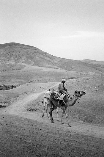 man riding camel, desert landscape, black and white photography, vast desert, timeless feel, camel rider, desert travel, arid environment, desert exploration, man on camel, desert journey