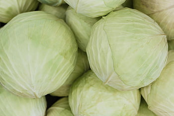 green cabbages, close-up photography, fresh green cabbage, cabbage texture, cabbage color, vegetable photography, green vegetables, cabbage heads, close-up image, fresh produce, cabbage details