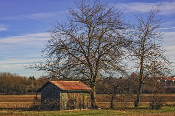 hut, trees, garden, nature, germany, landscape, forest, meadow, wooden Hut, heaven, clouds