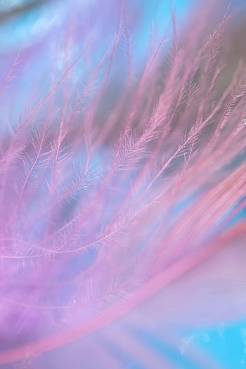 pictura abstracta, albastru și violet, Pene pastelate, culori vibrante, Focalizare moale, artă abstractă, Design penei, colorat abstract, culori pastel, fundal abstract, textura moale