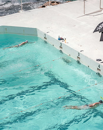 pływacy, kraul, basen zewnętrzny, słoneczny dzień, schwytane z góry, sportowcy, ćwiczyć pływanie, Sporty wodne, czysta woda, technika pływania, trening sportowy