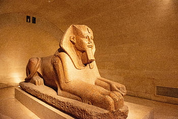 Antica Sfinge egizia, statua della Sfinge, interno del museo, museo ben illuminato, antico artefatto, arte egiziana, scultura storica, scultura di pietra, eredità culturale, antico Egitto, mostra del museo