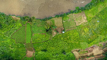 prise de vue aérienne, rizières vertes vibrantes, rivière, Java Ouest, Indonésie, paysage agricole, paysage rural, beauté naturelle, verdure, plan d'eau, les terres agricoles
