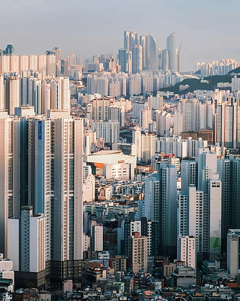 Busan skyskrabere, Moderne urban skyline, luftfoto, bybilledet, højhuse, byarkitektur, downtown skyline, hovedstadsområde, byudvikling, bybygninger, moderne by
