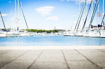 white boats, marina, sailboats, yacht, harbor, water, dock, blue sky, outdoor, leisure, sailing