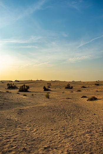 poušť, písečné duny, písek, suchý, duny, krajina, sahara, horký, Příroda, duna, dobrodružství