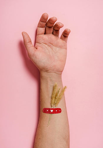 red band aid, wrist, arm, wheat, healing, nature, close-up, bandage, red bandage, heart bandage, pink background