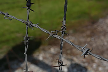 konentrationslager, dachau, ιστορία, kz, το παρελθόν, μνημείο, στρατόπεδο συγκέντρωσης, δολοφονία, Βαυαρία, Γερμανία, μνήμη