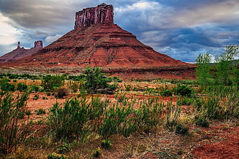 moab, utah, butte, οροπέδιο, έρημος, ΣΟΦΌΣ, άρκευθος
