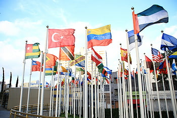 international flags, cityscape setting, global unity, vibrant collection, national flags, state flags, flag display, outdoor flags, urban flags, international unity, city flags