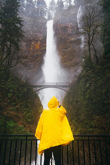 žlutá pláštěnka, multnomah padá, oregon, vodopád, osoba, Příroda, venkovní, les, scénický, déšť