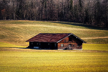 meadow, log House, hill, wood House, cabin, fields, edge Of The Forest, trees, forest, nature, landscape