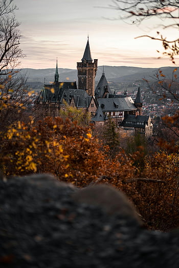 Wernigerode Castle, autumn foliage, sunset, scenic view, brown and black castle, gray sky, historic architecture, German castle, fall colors, landscape photography, medieval castle