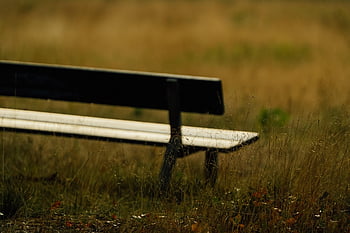 fall, autumn Mood, park Bench, bank, leaves In The Autumn, autumn Colors, wooden Bench, park, melancholic, mood