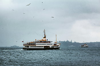 mouettes volant, navire blanc, Ferry du Bosphore, Paysages d'Istanbul, temps nuageux, paysage maritime, vue urbaine, mouettes au-dessus du navire, temps maussade, ferry sur mer, Mouettes du Bosphore