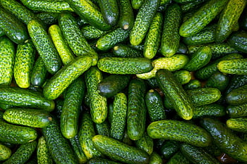 concombre, cornichon, concombre au vinaigre, des légumes, nutrition, manger, aliments