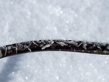 frost, branch, snow, cold, winter, nature, snowflakes, crystals, season, white