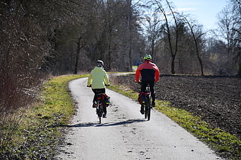 bicycle, cyclist, path, nature, trees, winter, fall, bike Tour, to Go Biking, bike, sports