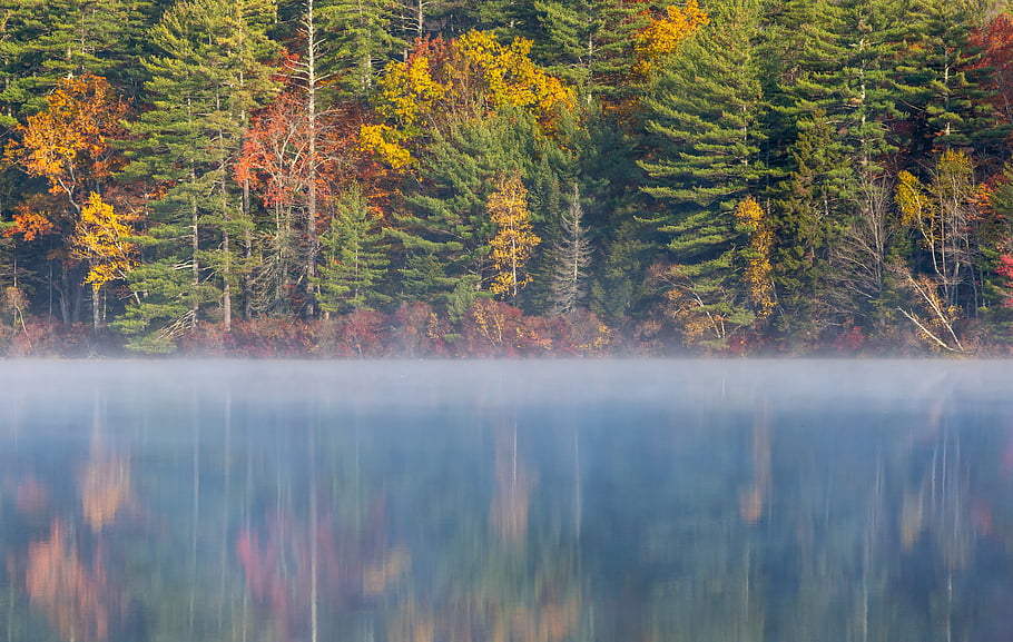 autumn, lake, reflection, fog, morning, water, nature, outdoors, hiking, pond, trees