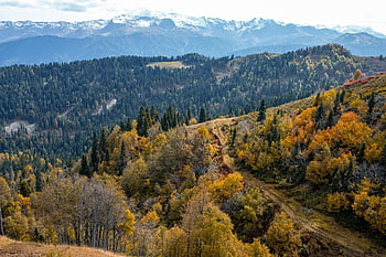 hory, les, podzim, stromy, krajina, Příroda, scenérie, stezka, cesta