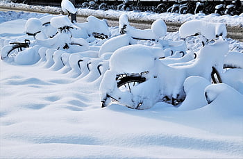 bicycles, snow, winter, bikes, bicycle Parking Rack, snow Covered, snowy, wintry, nature, frost, frosty