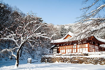 chrám, Korea, zimní, sníh, krajina, sekce, buddhismus, cestovní ruch, cestovat, mono, Příroda