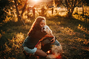 femme serrant un chien dans ses bras, Golden retriever, coucher de soleil chaud, Terrain brousailleux, femme agenouillée, chien embrasse, scène en plein air, amour pour animaux de compagnie, photographie de nature, heure d'or, Moment d'affection