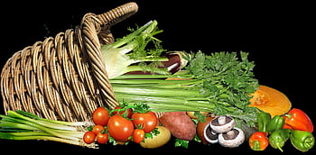 vegetables, basket, food, cooking, vegetarian, healthy, nutrition, diet, cut Out, isolated
