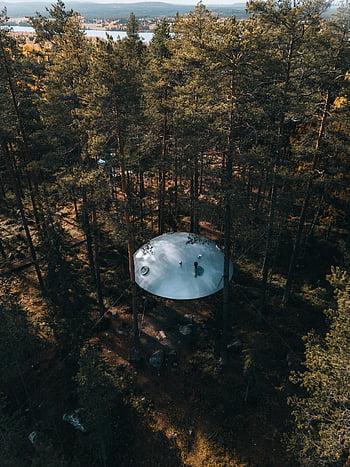 hotel na drzewie, wysoki kąt widzenia, Domek na drzewie w kształcie UFO, gęsty las jesienny, Szwecja, widok z lotu ptaka, Unikalny domek na drzewie, jesienne drzewa, nocleg w lesie, Projektowanie domków na drzewie, Projekt UFO