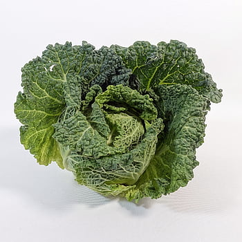 Kadeřávek, zelí, savoy, zelenina, zdravý, jídlo, vitamíny, zelená, Zeleninové zelí, sklizeň