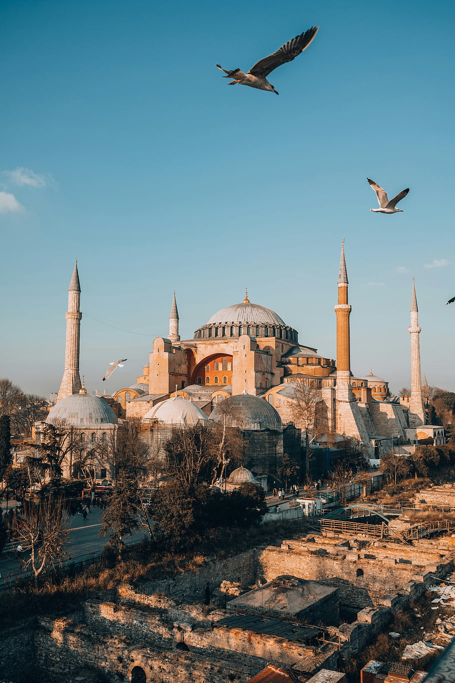 Hagia Sophia, mosque, Istanbul, Turkey, Ottoman architecture, spirituality, soaring seagulls, majestic view, birds flying, historical landmark, cultural heritage