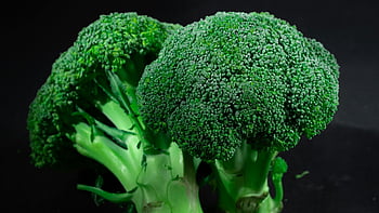 broccoli verdi, fotografia ravvicinata, Broccoli Freschi, Focche di broccoli, struttura, freschezza, verdura, cibo salutare, verdura verde, Immagine ravvicinata, fotografia di cibo