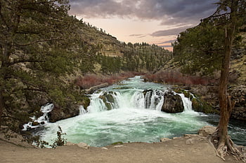cascada, bosque, corriente, arboles, naturaleza, río, agua, paisaje, rocas, chapoteo, ambiente