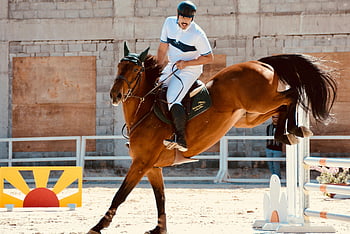 muž jezdecký kůň, Jezdecké show skákání, Zkušený jezdec, Riyadh Saúdská Arábie, skákání na koních, jezdecké soutěže, Ukaž skákání, jezdec na koni, Riyadh Equestrian, koně show, jezdecký sport