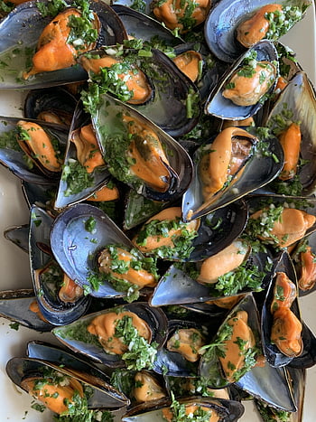 mussels, meal, seafood, dish, cuisine, plate, mediterranean