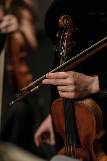 violin, close-up, musician's hands, indoor concert, performance, musical instrument, string instrument, classical music, concert photography, music performance, violinist