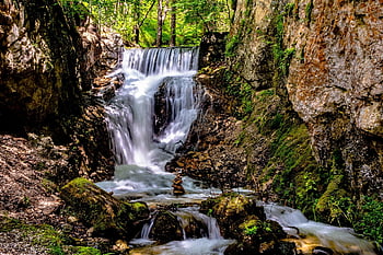 waterfalls, forest, rocks, moss, water, flow, flowing Water, cascade, cascading, torrent, stream