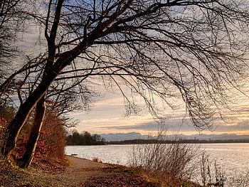 ammersee, jezero, voda, bavaria, Německo, krajina, Příroda, soumrak, mraky, břeh řeky, stromy
