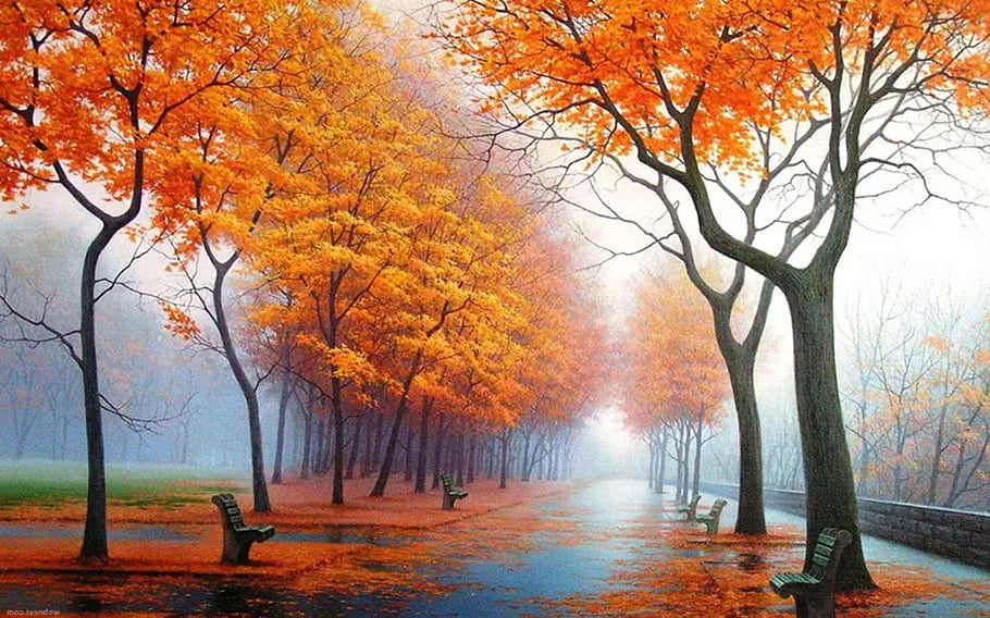 autumn, leaves, park, lane, path, benches, trees, foliage, autumn Leaves, autumn Foliage, autumn Colors