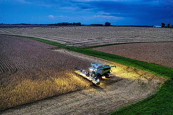 kombajn, sójové pole, večerní sklizeň, Minnesotské zemědělství, fotografování sond, zemědělství za soumraku, zemědělské stroje, sklizeň na poli, venkovské krajiny, zemědělské vybavení, úroda sóji