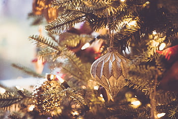 makro, Vánoce, ornament, strom, Dovolená, slavnostní, oslava, výzdoba, radost, světla, zblízka
