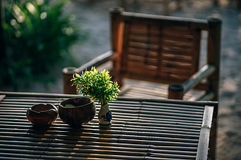 Selective Focus Photography, green leafed plant, table, serene bamboo seating, vase, greenery, Thai garden setting, outdoor furniture, natural decor, peaceful ambiance, garden aesthetics