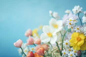 flower, arrangement, close up, background, bouquet, decoration, beauty, sunlight, fresh, still life, plants