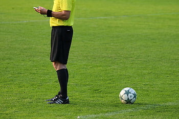 sepak bola, bola, wasit, olahraga, bidang, lapangan olahraga