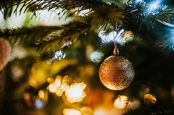 guld julboll, glittrande julprydnad, dekorerad trädgren, festljus, närbild, julgran, semesterinredning, storhelg, julpynt, gyllene prydnad, bokeh lampor