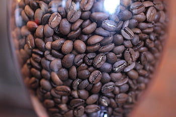 coffee Bean, coffee, bean, caffeine, coffee Cup, cafe, aroma, beans, food, brown, roasted